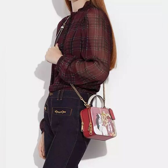 COACH DISNEY MOTIF CRUELLA DE VILLE BOX CROSSBODY COLLECTORS HANDBAG. NWT - Picture 8 of 16